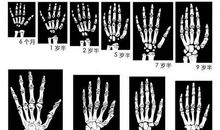 一二年级的小孩子，不能写作文！