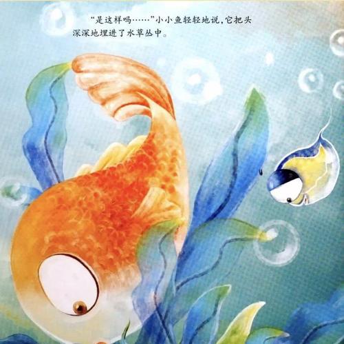 小小鱼的睡前故事