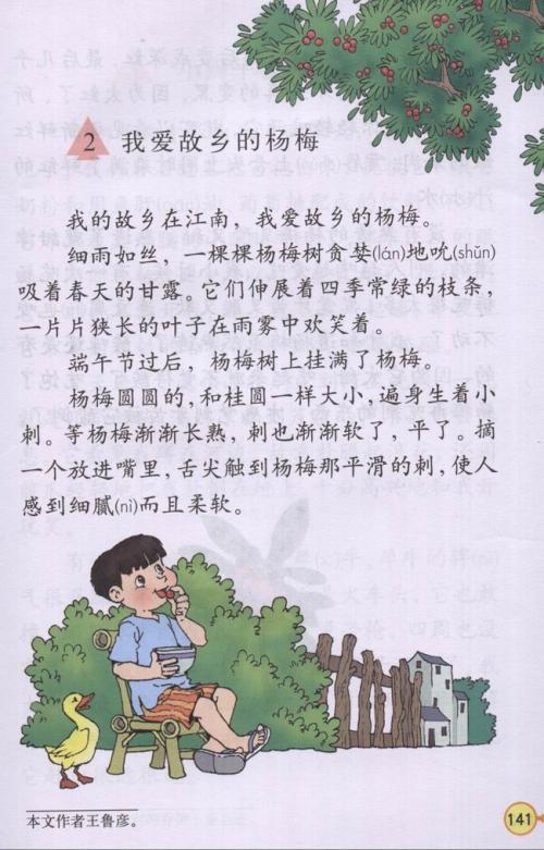 小学三年级语文《我爱故乡的杨梅》教案