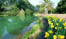 三年级作文：寻找春天的足迹