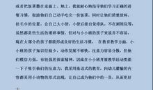 幼儿园小班老师学期工作总结范文