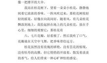 八月桂花美又香作文