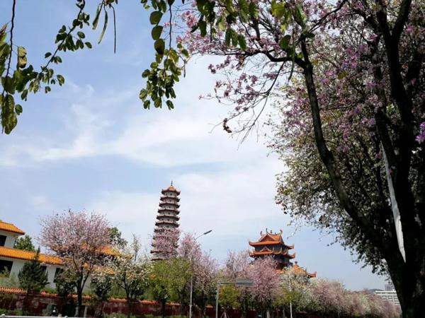 思维导图同步作文 | [三年级] 这儿真美！ 4