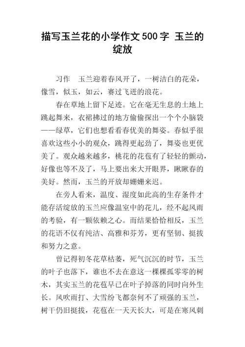 白玉兰作文500字