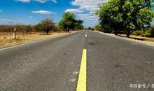 中考作文如何生动感人？细节来充实，情节来支撑，情感方能落实！