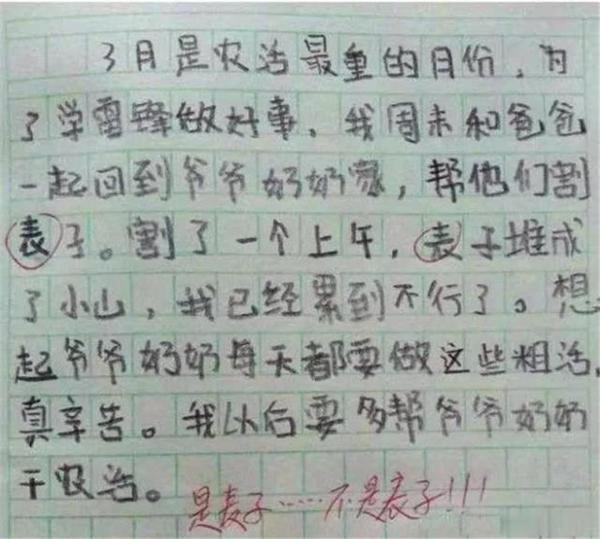 “我妈已经三天没打我了”,小学生“奇葩作文”走红,笑出眼泪 3
