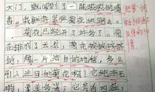 以菊花为话题的作文