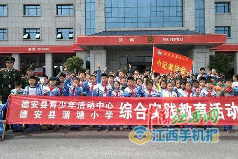 小记者获奖作文欣赏： 唐睿佳·菊花基地