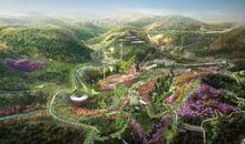 作文周刊 | 向日葵作文周刊第四十四期