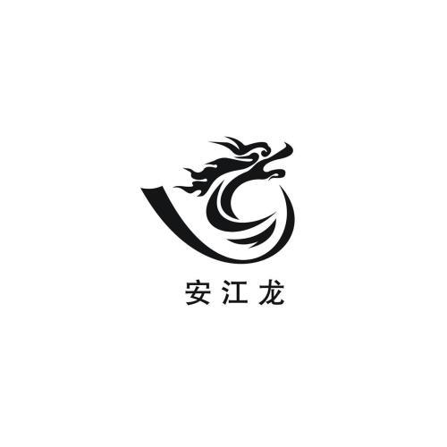 观安江龙校记 四年级游记400字