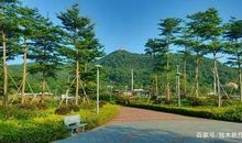 本来我可以半命题作文