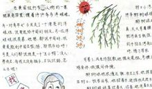 语文从我身边轻轻走过 语文就在身边作文300字