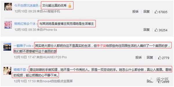 热点作文预测：“李子柒”现象到底算不算“文化输出”（含作文题和优秀时评） 10