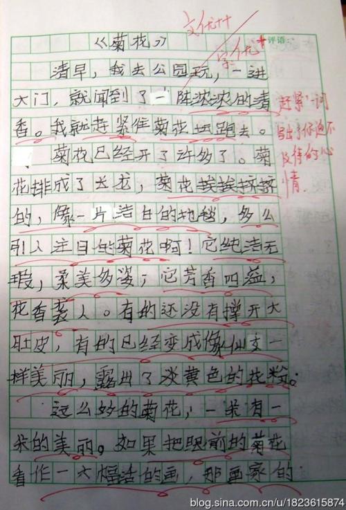 关于菊花的作文三篇