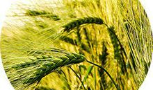 【作文怎么办系列002】考场作文老是扣许多分怎么办？