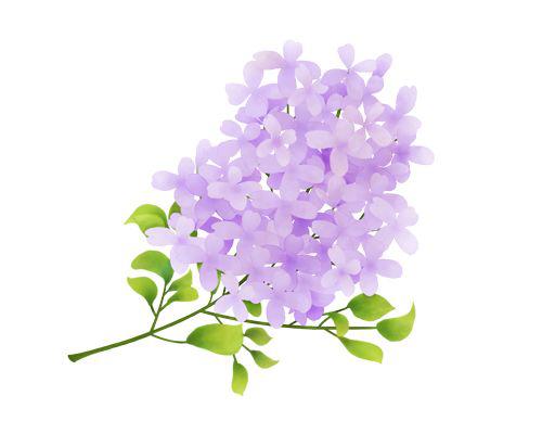 邦德学员优秀作文赏析5——《开满丁香花的校园》 2