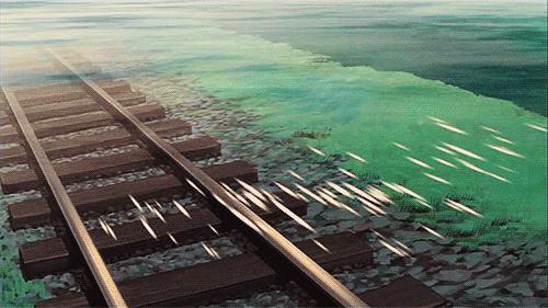 原创学生作文：《深圳的秋》