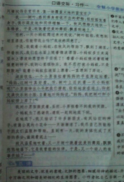 经受考验 六年级叙事作文500字