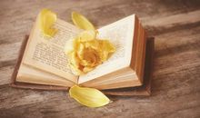 《主角》读后感