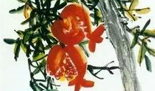 作文展 ▏全国小学生优秀作文