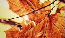 一儒老师讲作文（二）——观察方法