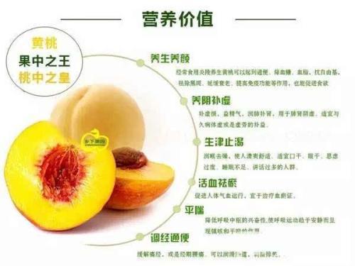 摘黄桃 三年级叙事作文300字