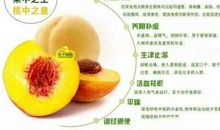 摘黄桃 三年级叙事作文300字