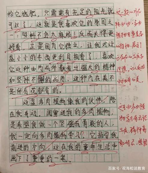 老师批改小学生作文:老师的字写得好,内容改得好,妈妈也被感动 5