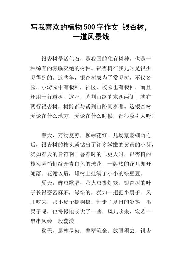 六年级银杏树作文600字