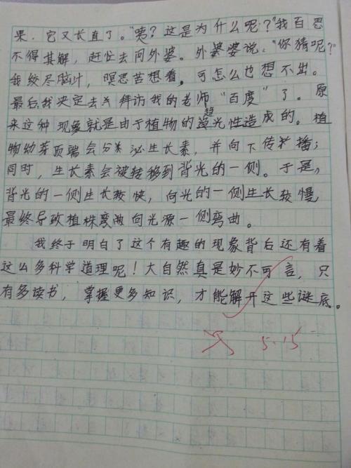 生命 高二作文700字
