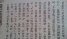 古镇寻风 高三作文700字