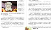 兰州晨报作文周刊·红蜻蜓丨父亲......