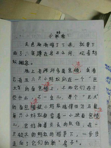 运动会写事作文450字