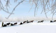 雪中拉爬犁 雪中趣事作文400字