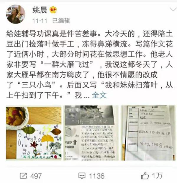 双11别人晒购物,姚晨晒儿子的作文,吐槽辅导作业是个“苦差事” 1