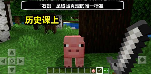 中考作文：以“我的世界”为题，文体不限！mc玩家看后笑得很灿烂 2