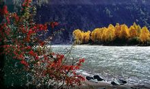 六年级作文：秋景