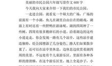 美丽的家乡夜景 六年级写景作文600字