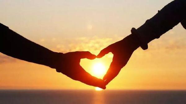 《青铜葵花》读后感，我们要如何面对苦难…… 2