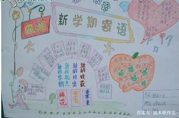 五年级作文:新学期新领悟