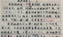 云图有声 | 写好作文，原来可以这么简单