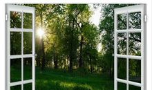 中学生优秀作文：《窗外》，以时间为序，展示一幅幅图画