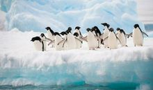 与海为伴 让人难忘的旅行作文600字