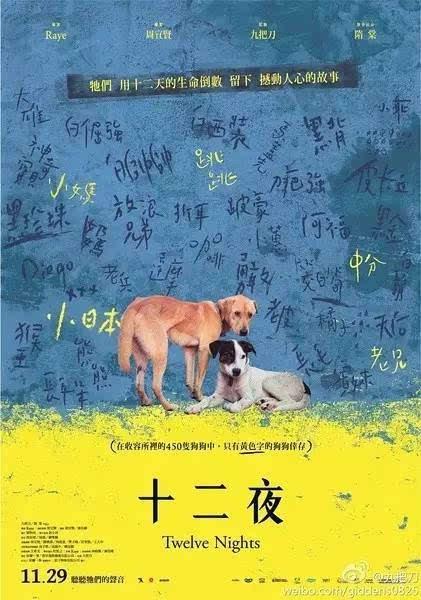 关于流浪狗的故事 我和流浪狗的故事400字