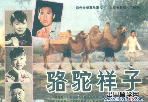 梦想总是要有的——《骆驼祥子》读后感