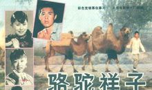 梦想总是要有的——《骆驼祥子》读后感