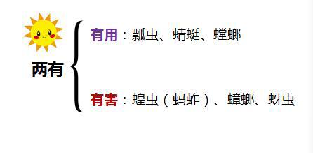 思维导图轻松写作:小学生如何写好动物作文?最全攻略分享给大家 1