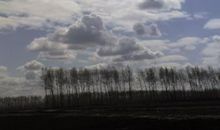 四年级作文：友情的天空