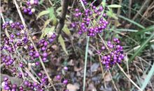 原创学生作文：《珍藏的微笑》