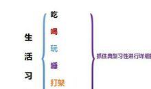 思维导图轻松写作：小学生如何写好动物作文？最全攻略分享给大家